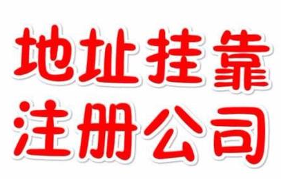 代理記賬一年800元，記賬會(huì)計(jì)代理